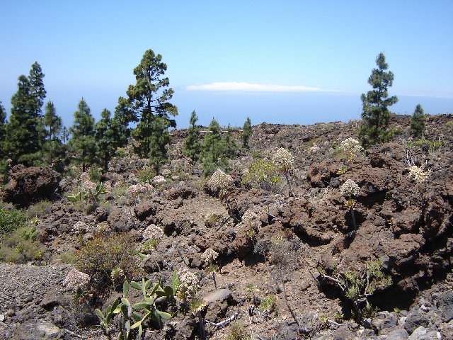 Tenerife074