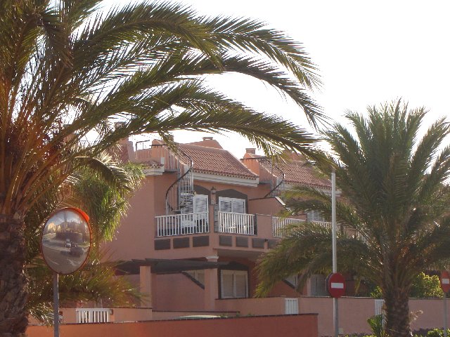Tenerife076